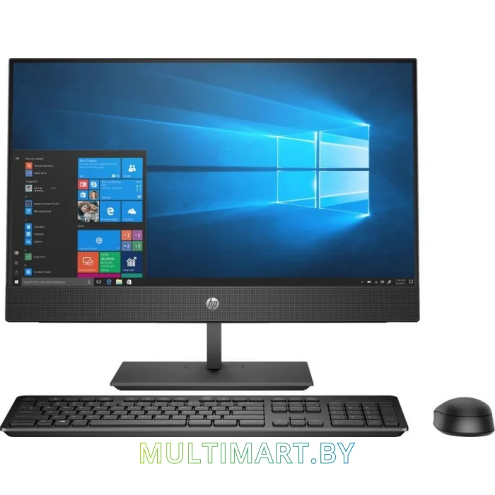 Моноблок HP ProOne 440 G6 (205W1ES)